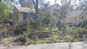 Tree-Removal-storm-cleanup-bluffton