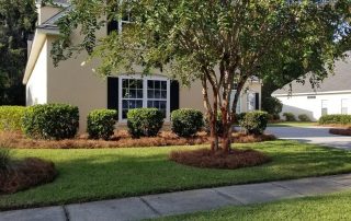 Property in Pine Crest that Evergreen Turf applied insecticide